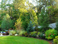 Bushes | Lawn Care in Avon, MA Bushes | Lawn Care in Avon, MA