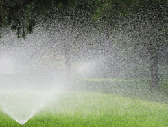 Radius Spraying Sprinkler | Lawn Maintenance in Avon, MA Radius Spraying Sprinkler | Lawn Maintenance in Avon, MA