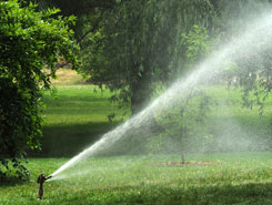 Straight Shooting Sprinklers | Landscaping and Irrigation Services in Avon, MA Straight Shooting Sprinklers | Landscaping and Irrigation Services in Avon, MA