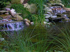 Pond with Waterfalls | Landscape Design in Avon, MA Pond with Waterfalls | Landscape Design in Avon, MA